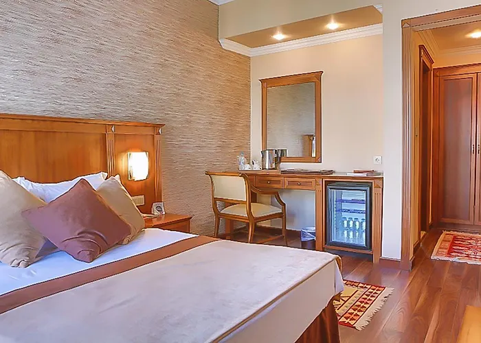 فندق إيليت بالاس 4*