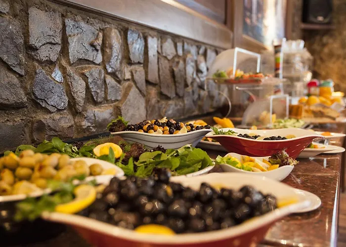 ホテル エリート パラス 4*